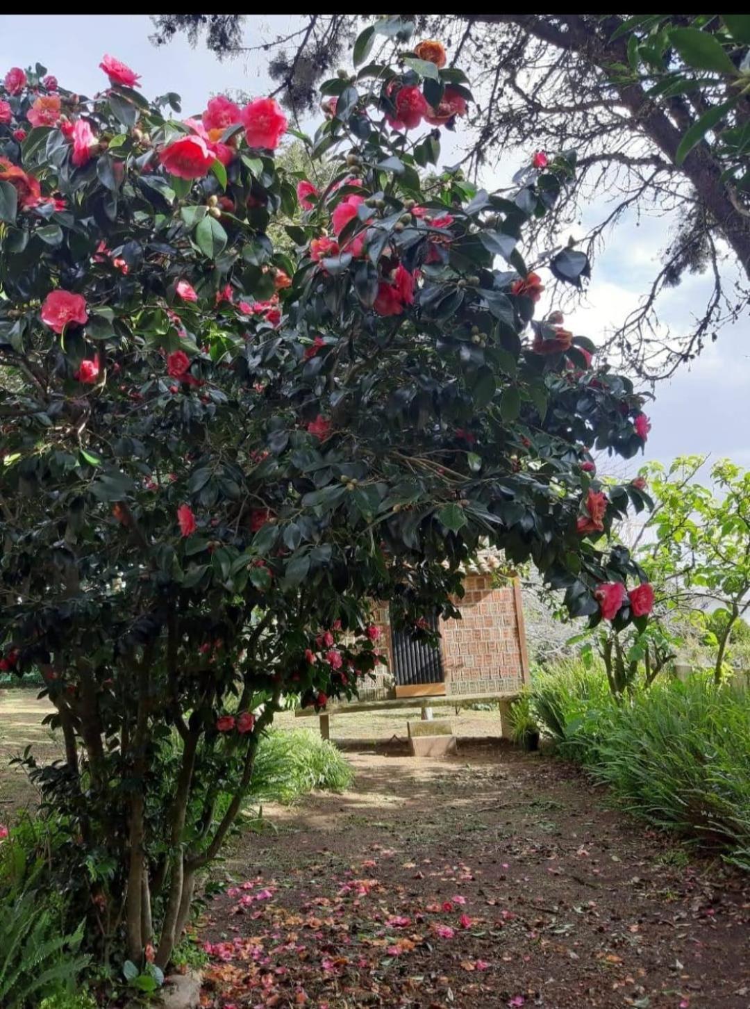 아 과르다 Casa Tina 빌라 외부 사진